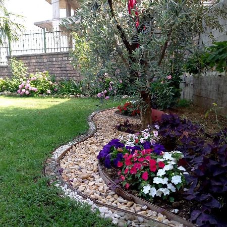 Manthoguesthouse Gjirokastër 外观 照片